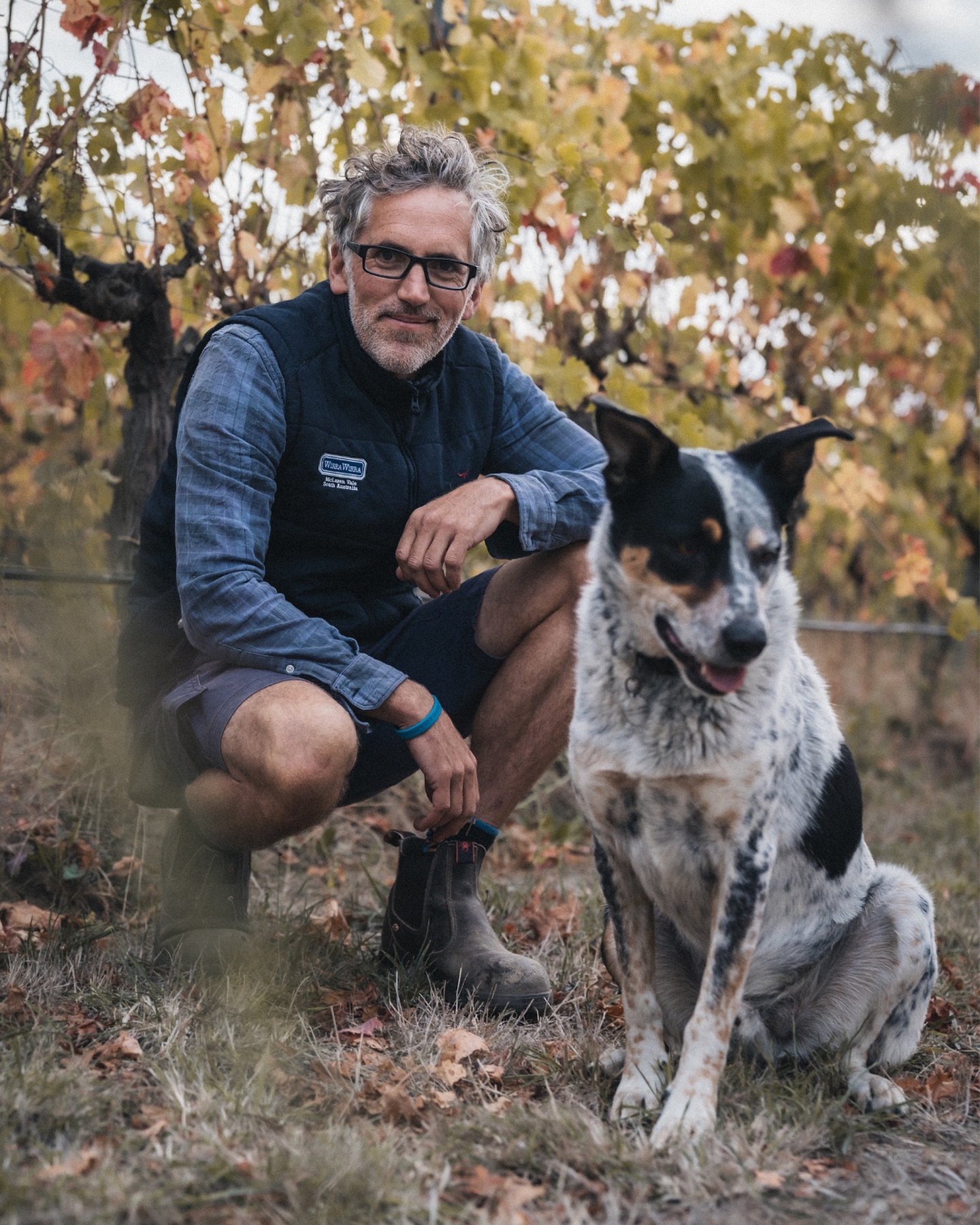 It’s Bring Your Dog to Work Day!🐶🐕🐾

Take a look at these adorable pups living their best lives at a few of our wineries around the world:

1. Barney checking on the vines with @wirrawirrawines viticulturist, Anton
2. Barney taking a break with @wirrawirrawines site manager, Shane
3. Barney with his four-legged friend Lamborghini 🐑 (best name ever)
4. Noah the Shar Pei strutting his stuff at @zindhumbrecht 
5. Skye with @jackson_estate viticulturist Wiremu Matthews
6 @jackson_estate winemaker Matt Patterson-Green with his dog, Flynn 
7. Flynn breaking hearts from the back of a ute 😍
8. @jackson_estate vineyard manager Graeme with Jedd (left) and Bob (right)
9 & 10. Aiko taking in the gorgeous views at @domaenewachau 

#BringYourDogToWorkDay #WineryPups #jacksonestate #domainewachau #wirrawirra #wirrawirrawine #dzh #zindhumbrecht #dogs #dogsofinstagram #doglover #vineyard #winerydogs #winedog #dogsandwine