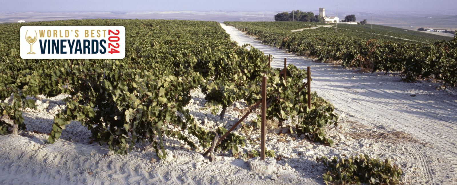 World's best vineyards 2024