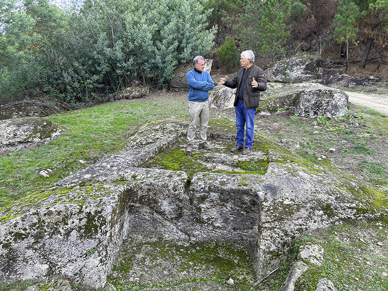 Angel de Viñas. Oímbra. Monterrei. Proyecto González Byass