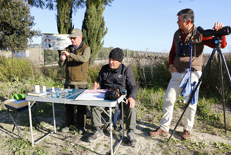 VIDas: Anillamiento aves en Jerez People + Planet González Byass