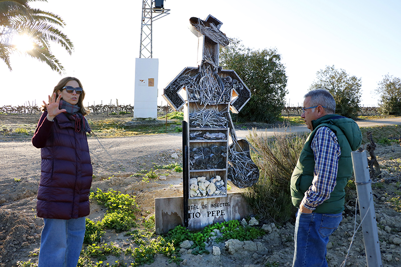 VIDas: Anillamiento aves en Jerez People + Planet González Byass