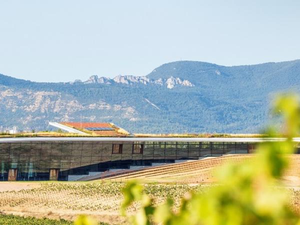  La nueva bodega de Beronia, una referencia  de la arquitectura en el mundo del vino