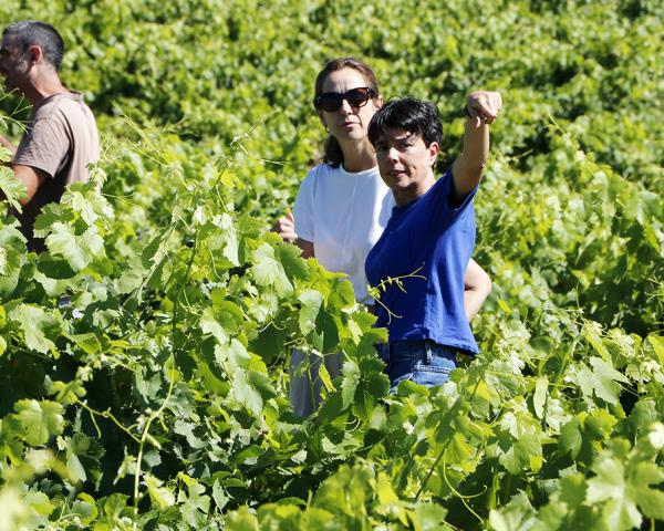 Ángel de Viñas. González Byass. Al pie del abismo. Vino Arribes del Duero. 