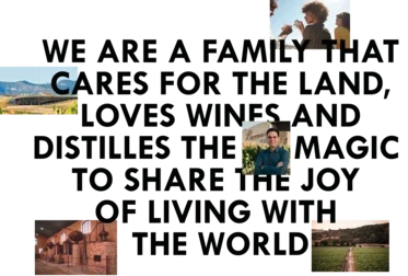 imagen y frase de posicionamiento home gonzalez byass