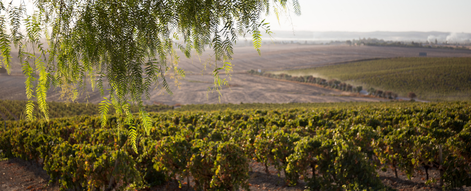 Gonzalez Byass Awards Mundus Vini
