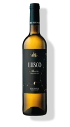Lusco